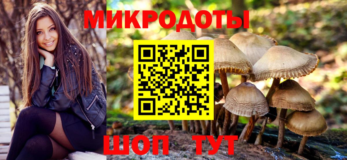 Псилоцибиновые грибы MAGIC MUSHROOMS Реутов